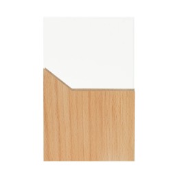 RECONOCIMIENTO RMT 001