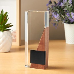 RECONOCIMIENTO / CANCUN