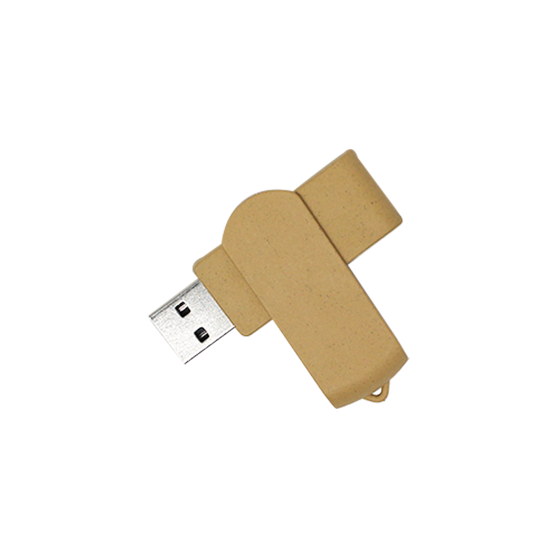 Memoria IU-USB088